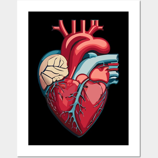 anatomical heart Wall Art by Smartdoc